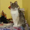 Отзыв от Алина Лазарева